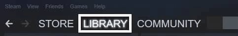 Launch Steam & Click on Library