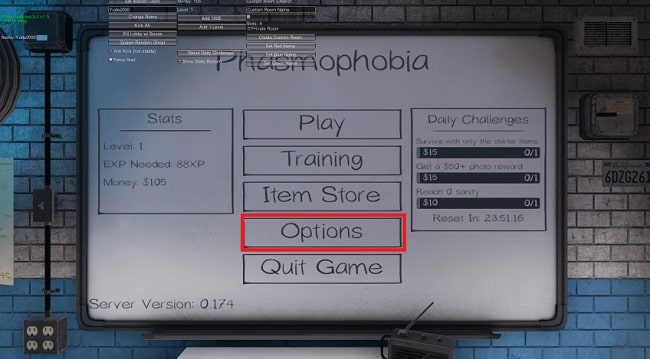 phasmophobia options 