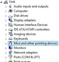 Click on the Mouse and other pointing devices