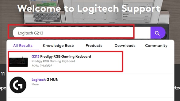type Logitech G213 in the search box.